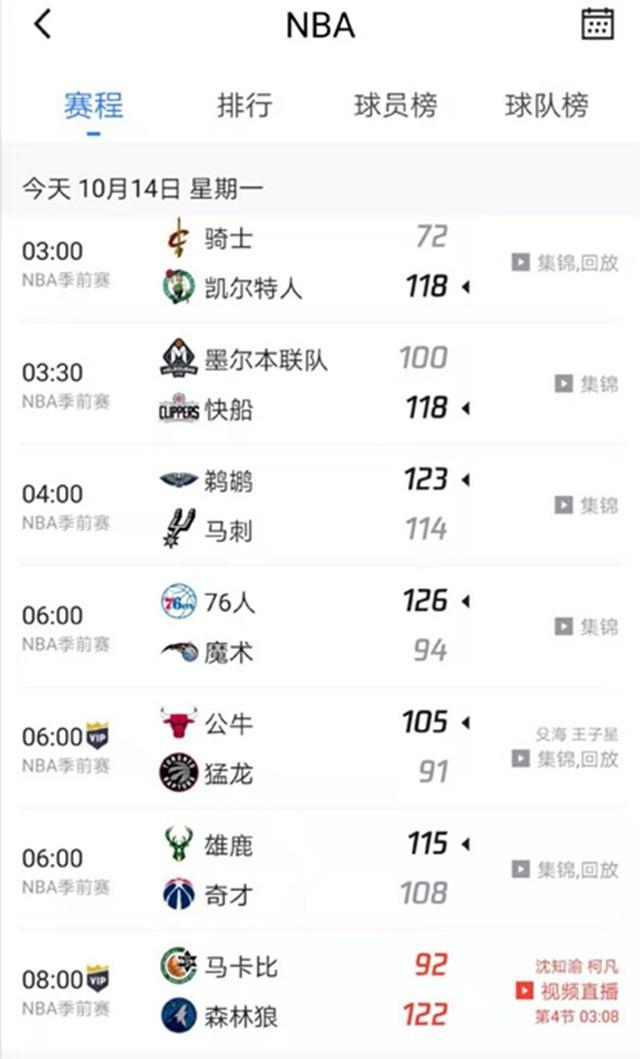国家队中的